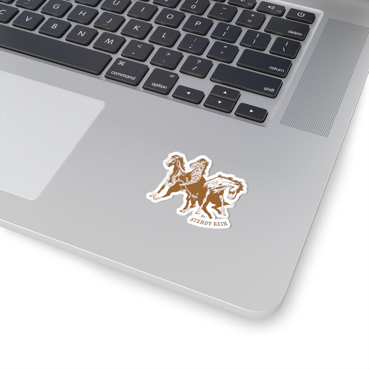Kiss-Cut Steady Rein Sticker