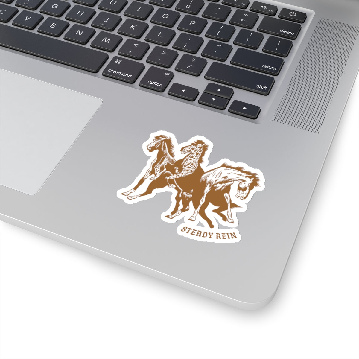 Kiss-Cut Steady Rein Sticker