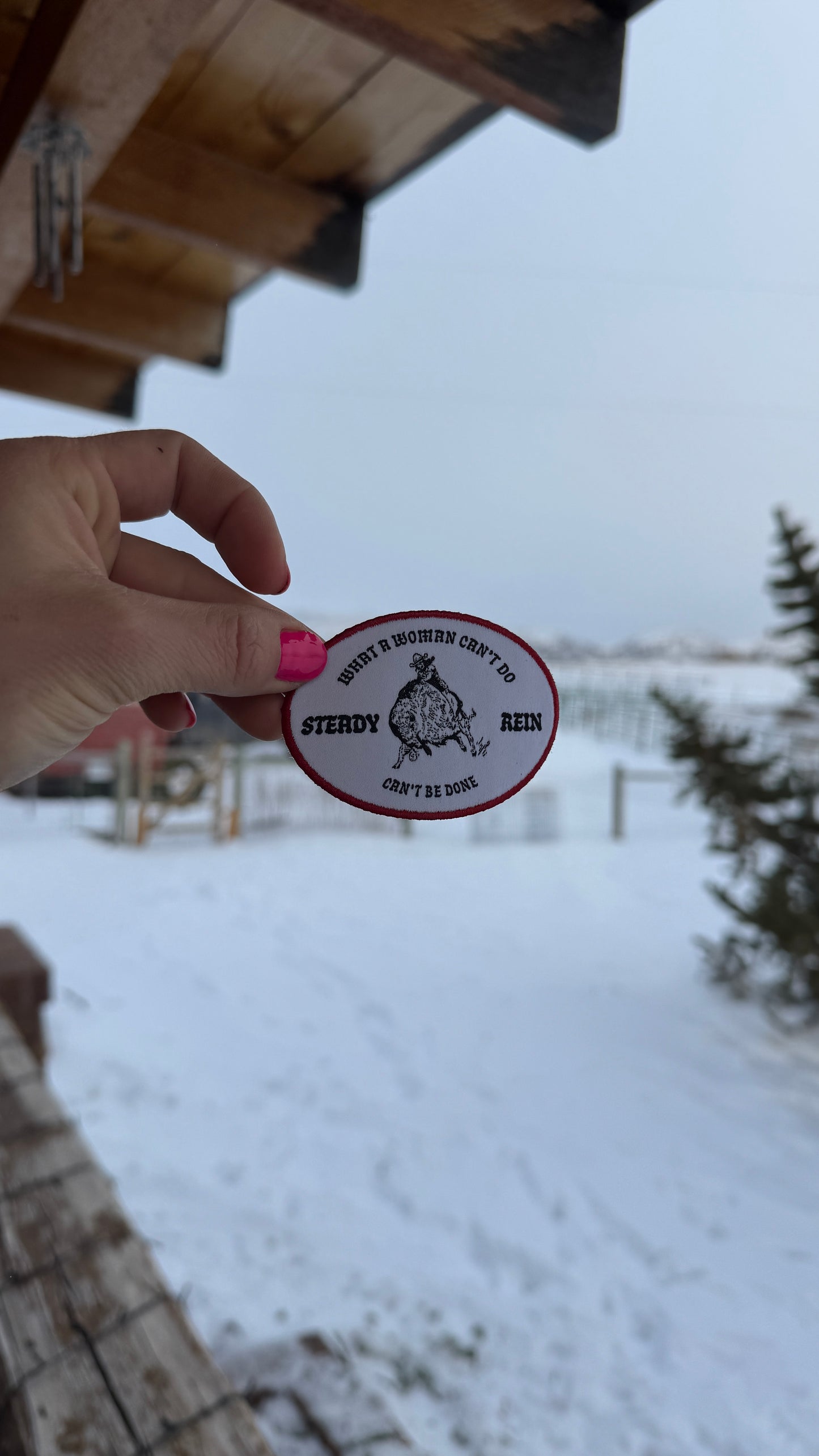 Bison Rider Patch