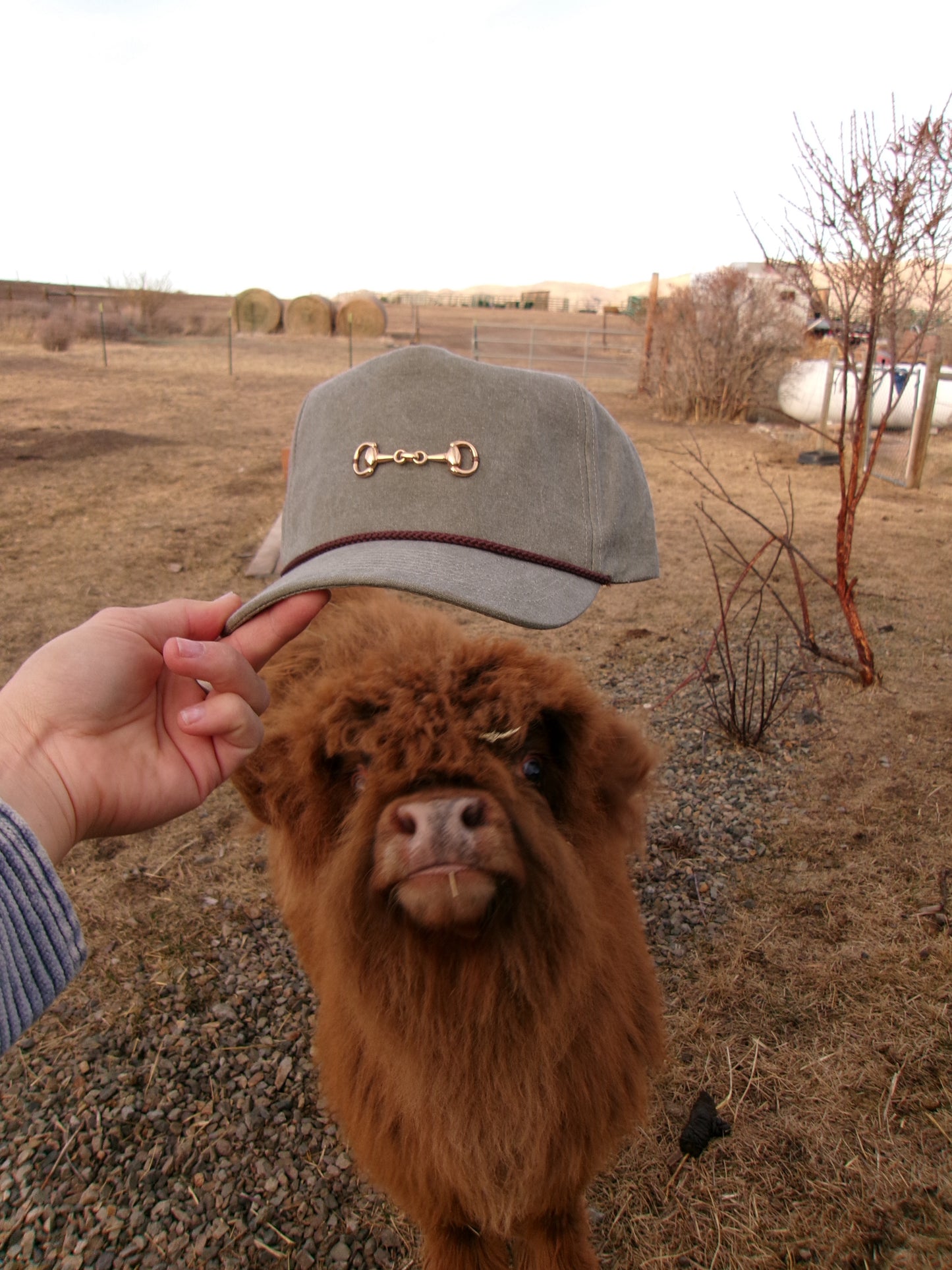 Snaffle Bit Trucker Hat