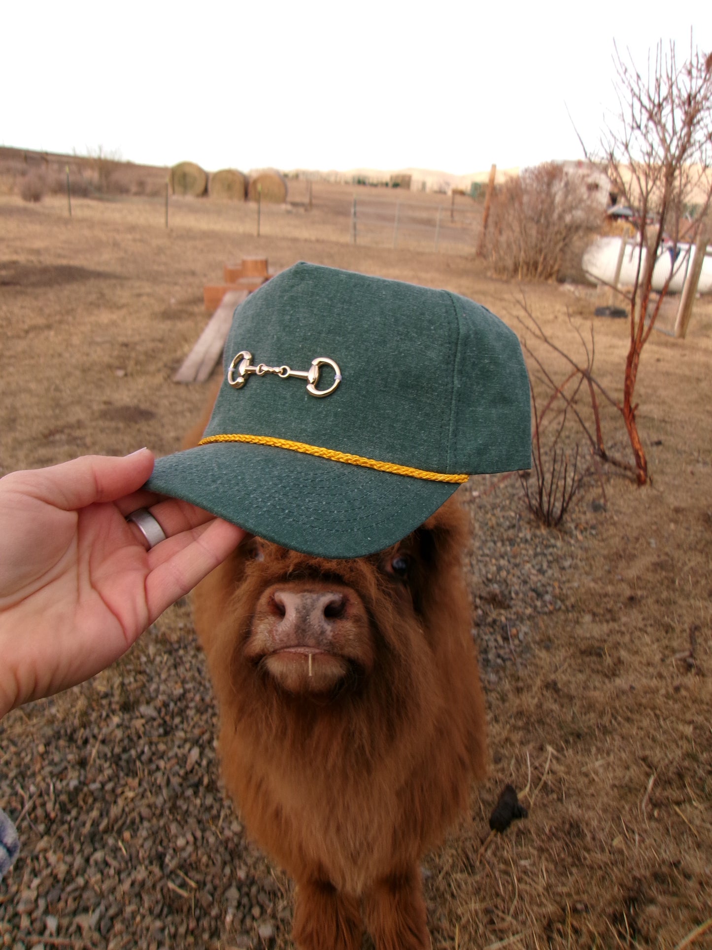 Snaffle Bit Trucker Hat