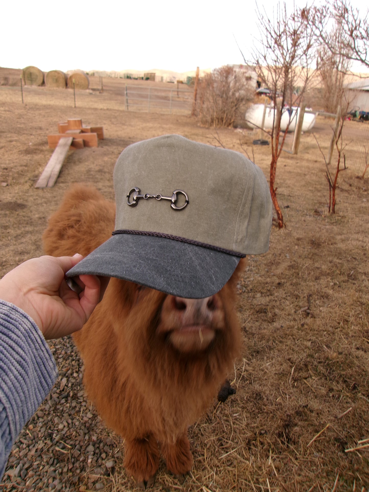 Snaffle Bit Trucker Hat