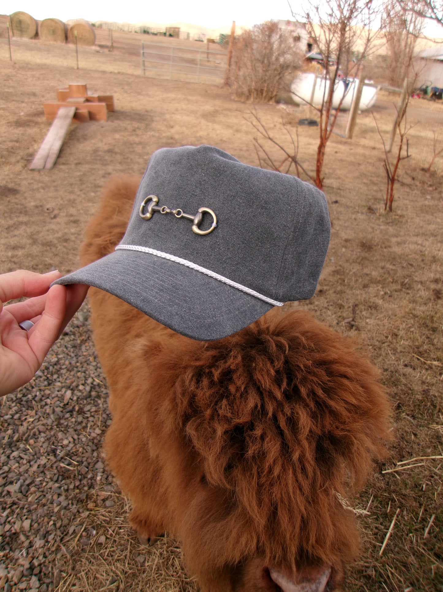 Snaffle Bit Trucker Hat