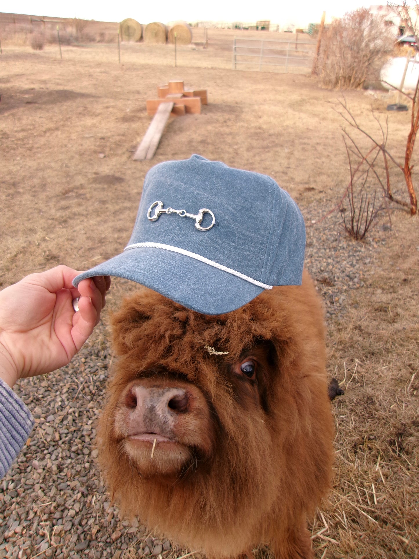 Snaffle Bit Trucker Hat