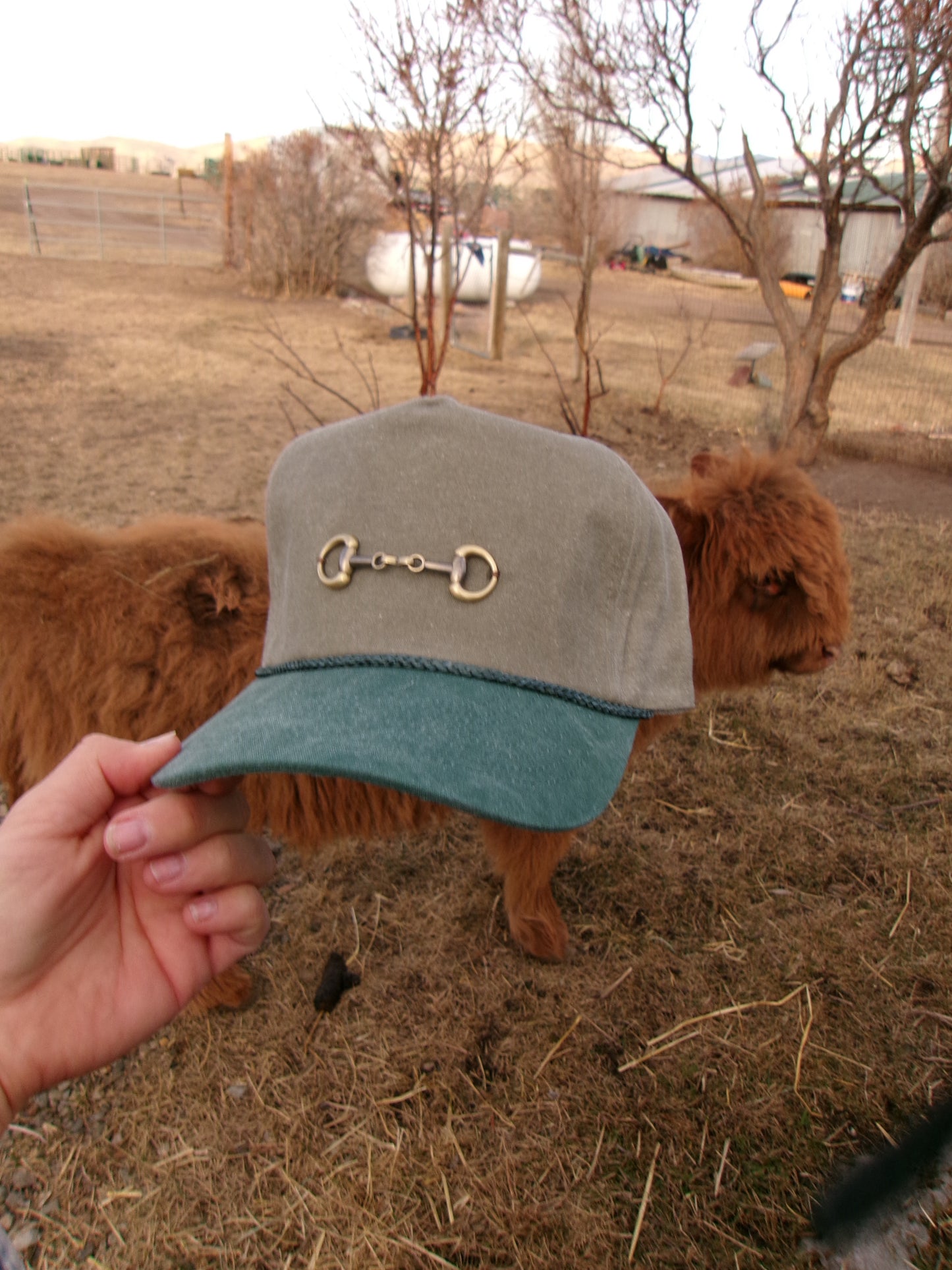 Snaffle Bit Trucker Hat